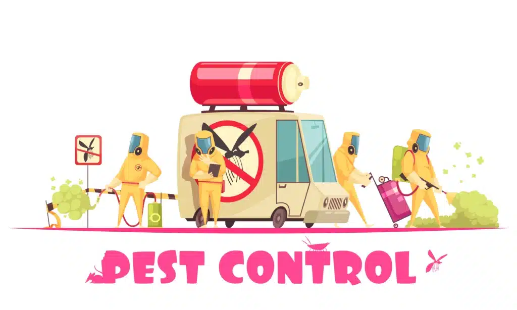 Coping with 10 Common Household Pests: Effective Elimination Strategies 10