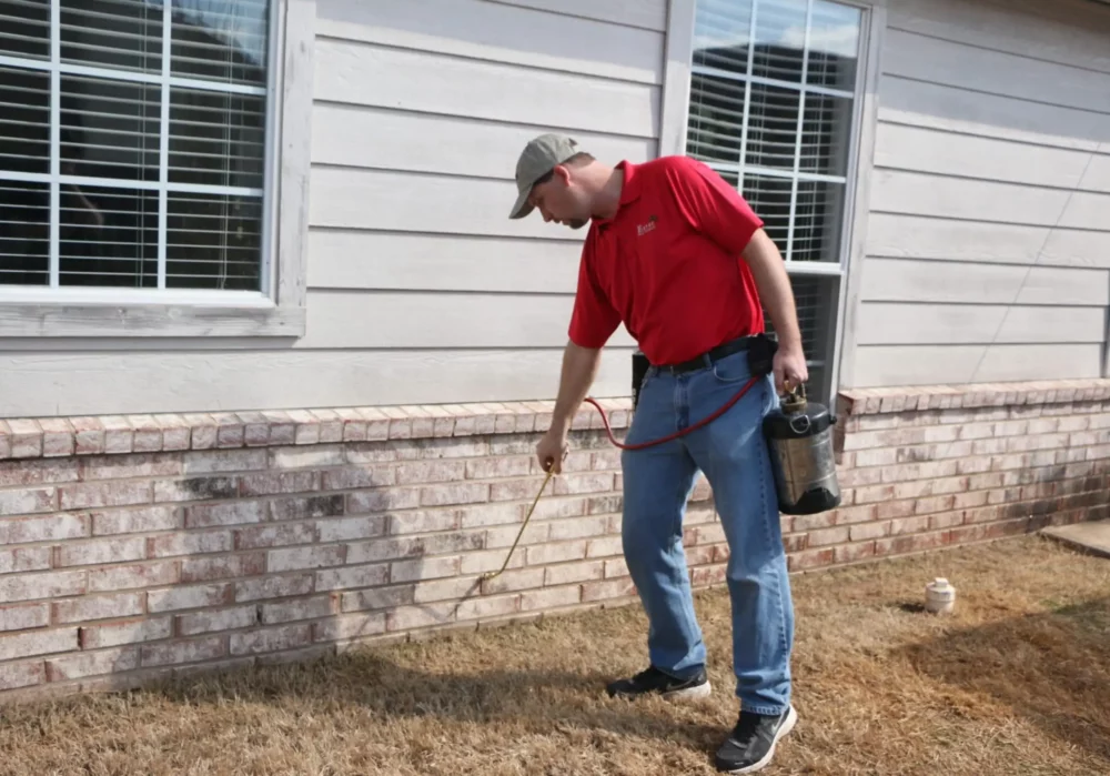 Pest Control Stillwater OK: Keeping Your Home and Business Pest-Free 5